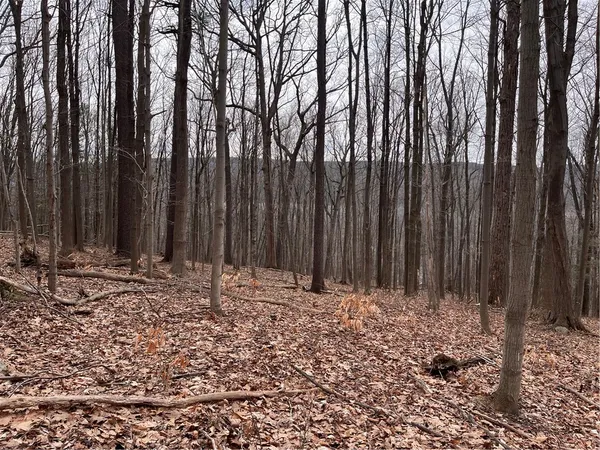 $99,900 | 0 Rt-64, Canandaigua, NY 14424