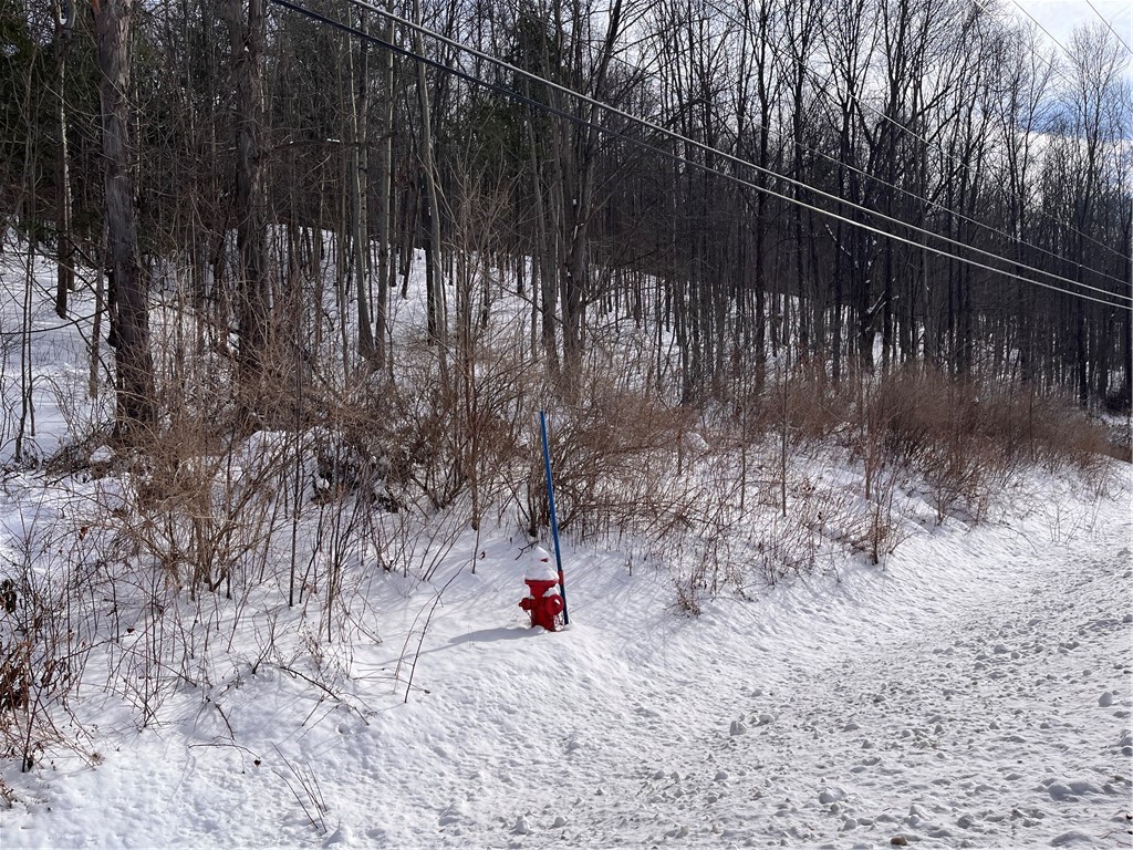 0 Rt-64 Canandaigua, NY 14424 - Photo 2 of 9