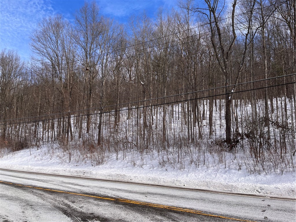 0 Rt-64 Canandaigua, NY 14424 - Photo 3 of 9