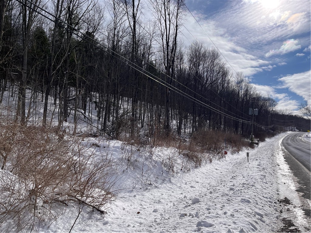 0 Rt-64 Canandaigua, NY 14424 - Photo 5 of 9