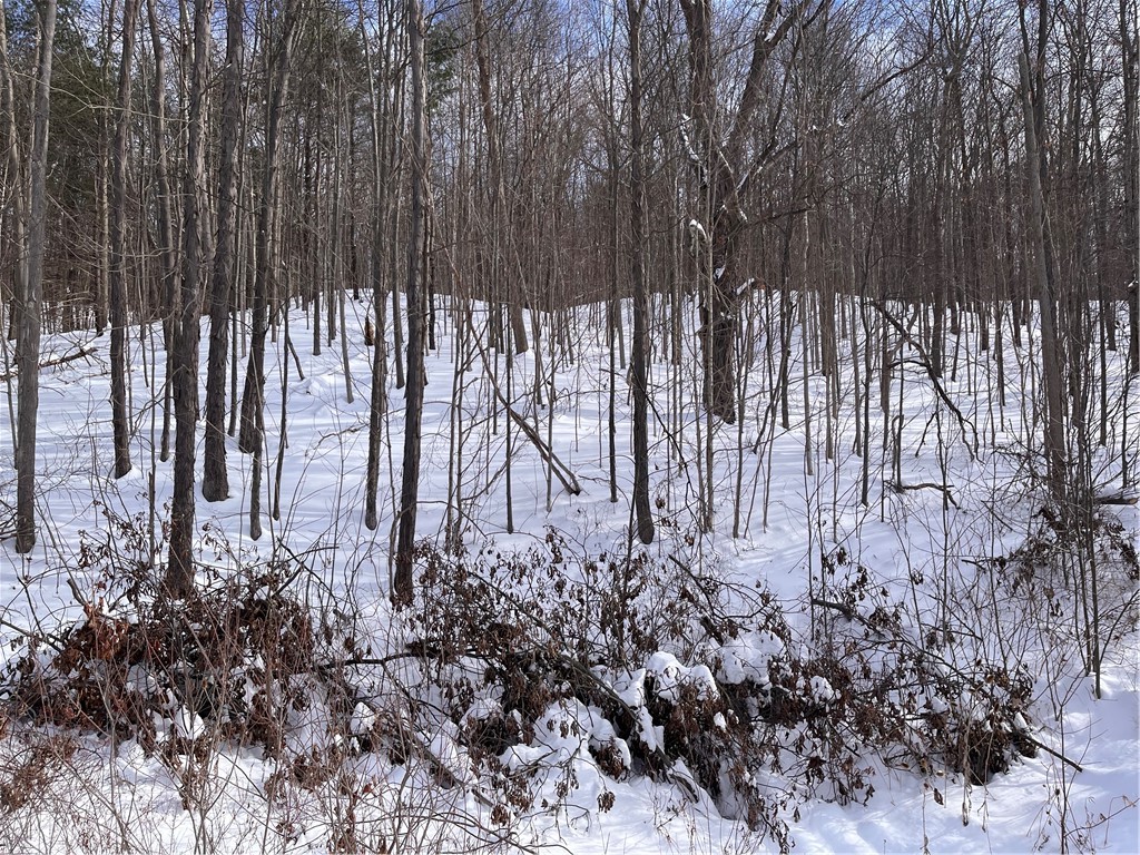 0 Rt-64 Canandaigua, NY 14424 - Photo 6 of 9