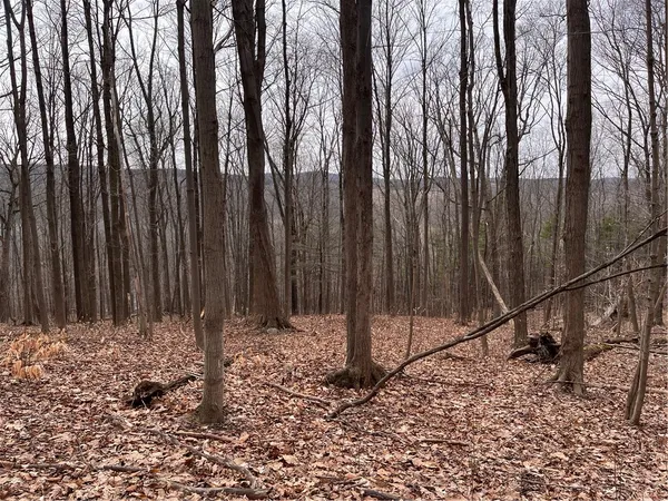 $99,900 | 0 Rt-64, Canandaigua, NY 14424