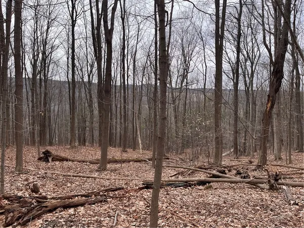 $99,900 | 0 Rt-64, Canandaigua, NY 14424