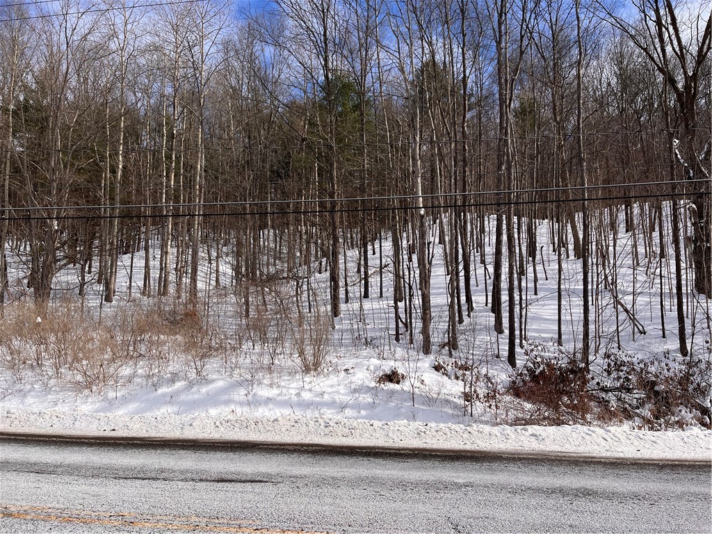 0 Rt-64 Canandaigua, NY 14424 - Photo 8 of 9