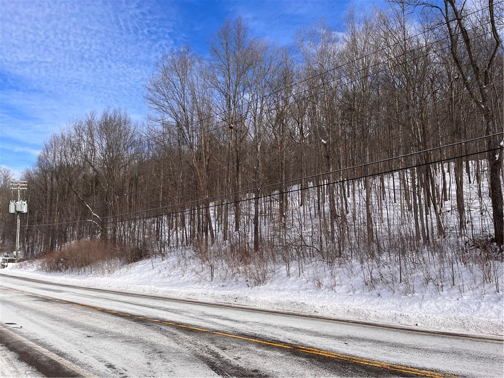 0 Rt-64 Canandaigua, NY 14424 - Photo 9 of 9