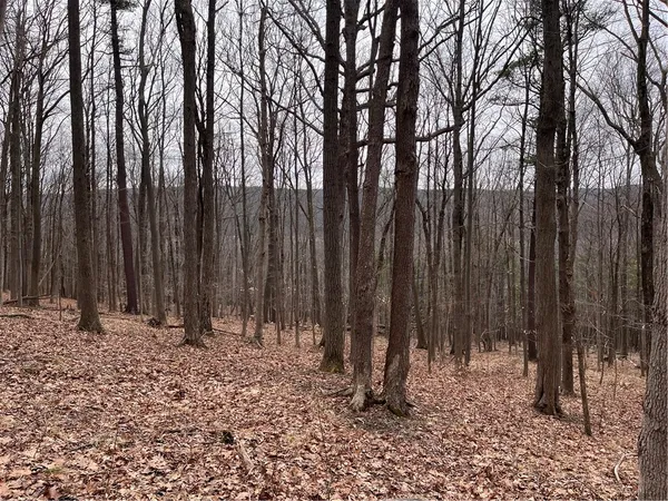 $99,900 | 0 Rt-64, Canandaigua, NY 14424