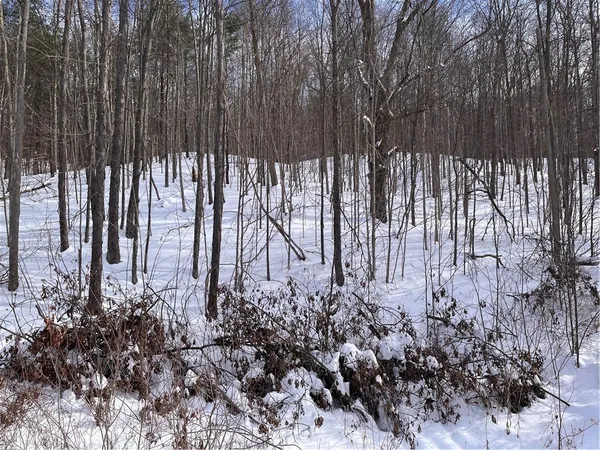 $99,900 | 0 Rt-64, Canandaigua, NY 14424