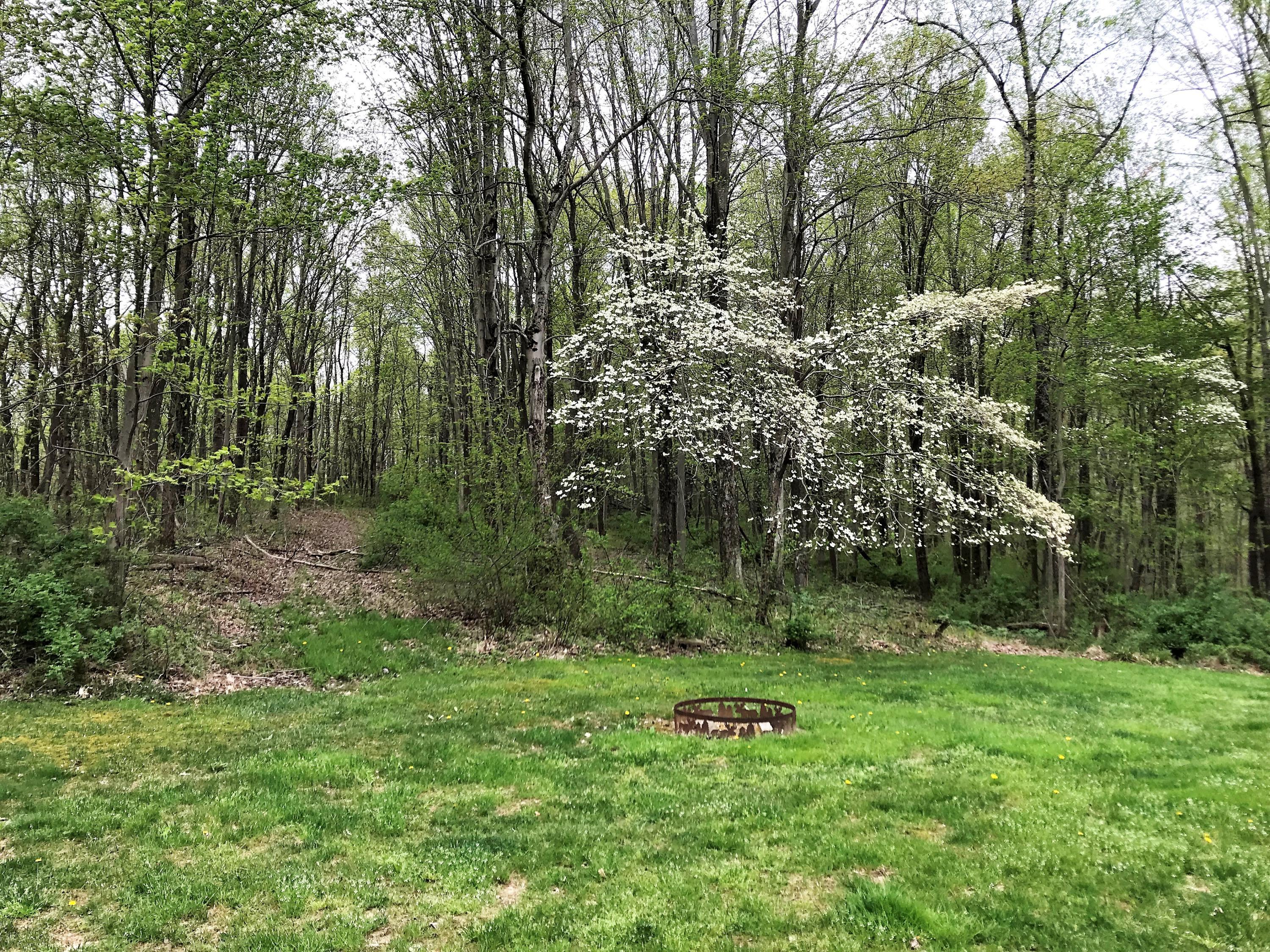 37027 Scout Road Logan, OH 43138 - Photo 29 of 35