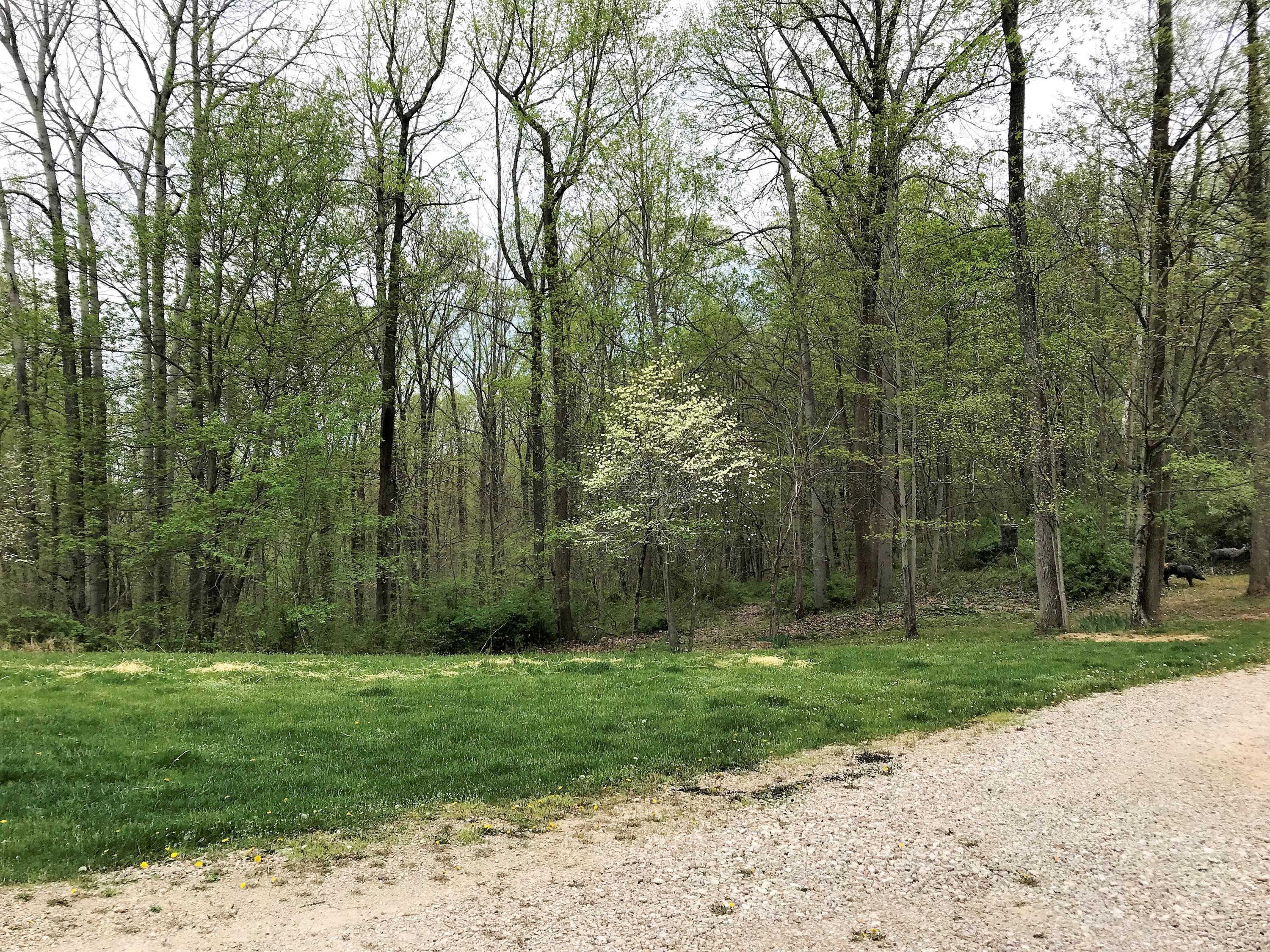 37027 Scout Road Logan, OH 43138 - Photo 33 of 35
