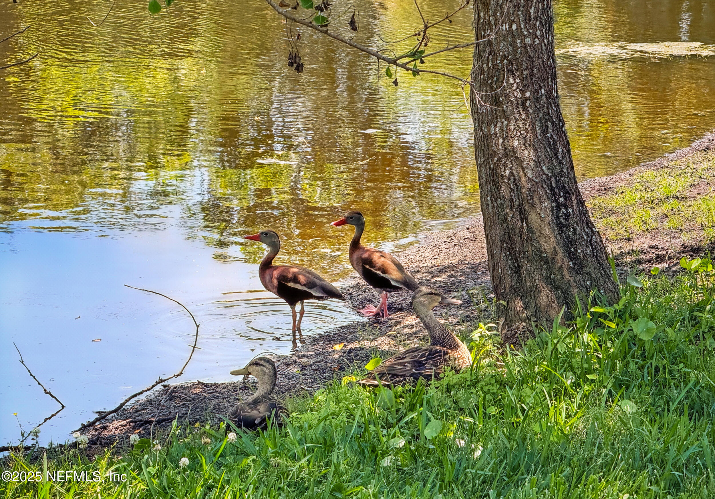 150 South Roscoe Boulevard Ponte Vedra Beach, FL 32082 - Photo 69 of 84 a view of swimming pool with outdoor seating