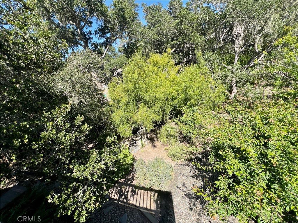 1530 Emerson Road Cambria, CA 93428 - Photo 41 of 54 Overlooking back yard