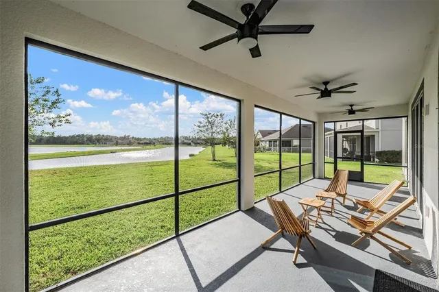 a view of a park with large trees