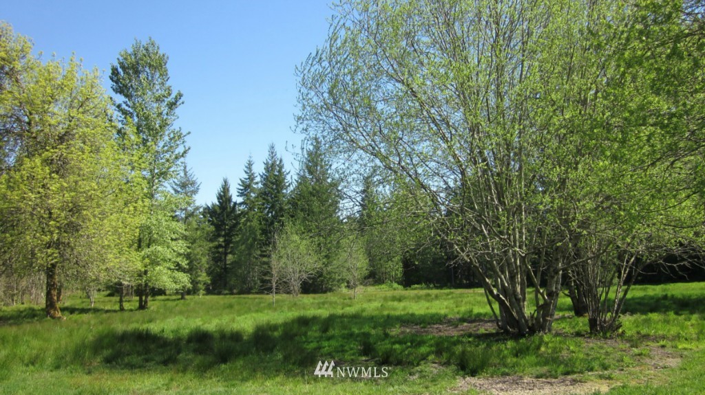 -xxx West Avery Road Winlock, WA 98596 - Photo 1 of 14