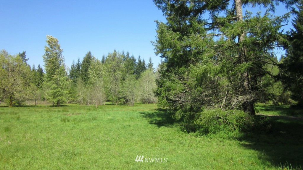 -xxx West Avery Road Winlock, WA 98596 - Photo 2 of 14