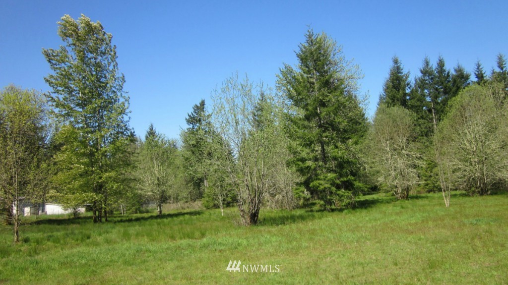-xxx West Avery Road Winlock, WA 98596 - Photo 11 of 14