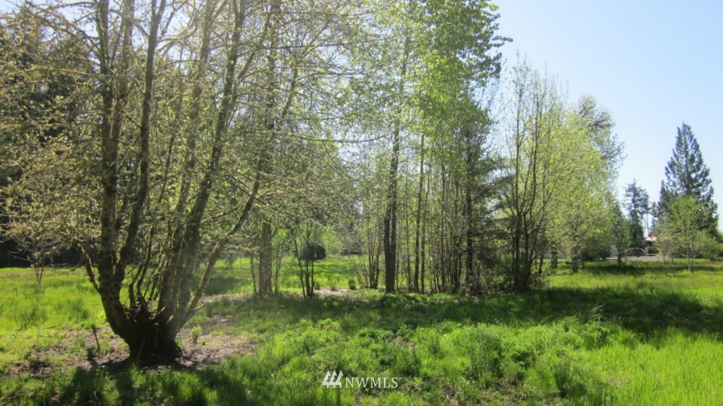 -xxx West Avery Road Winlock, WA 98596 - Photo 12 of 14
