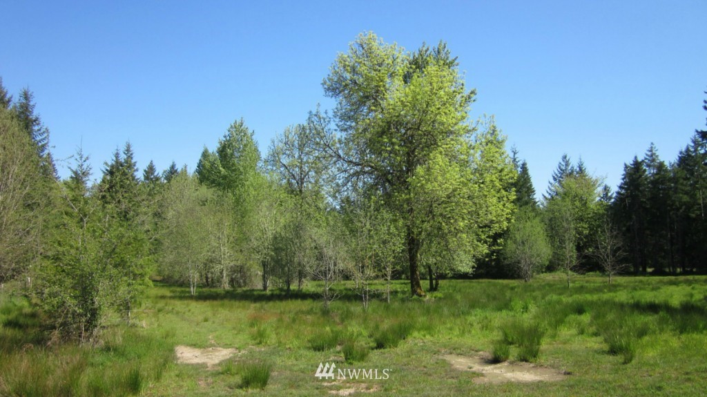 -xxx West Avery Road Winlock, WA 98596 - Photo 13 of 14