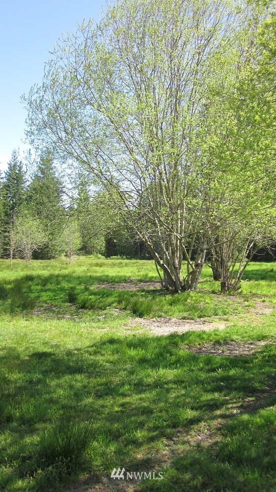 -xxx West Avery Road Winlock, WA 98596 - Photo 14 of 14