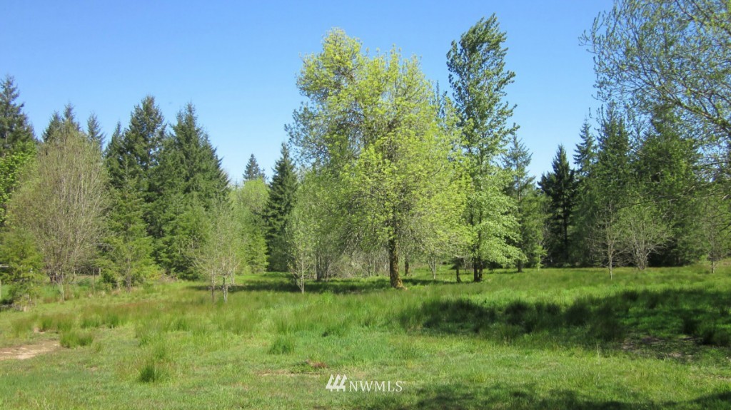 -xxx West Avery Road Winlock, WA 98596 - Photo 3 of 14
