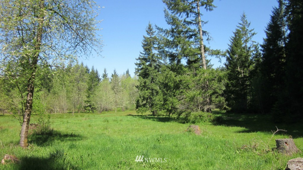 -xxx West Avery Road Winlock, WA 98596 - Photo 4 of 14