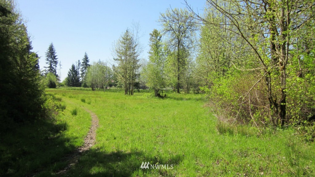 -xxx West Avery Road Winlock, WA 98596 - Photo 5 of 14