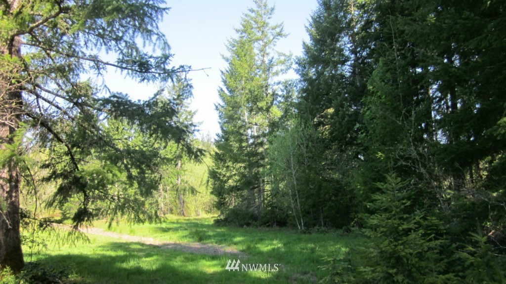 -xxx West Avery Road Winlock, WA 98596 - Photo 6 of 14