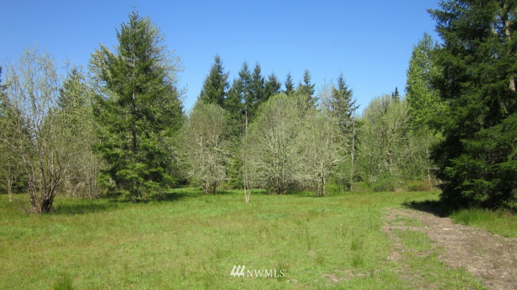 -xxx West Avery Road Winlock, WA 98596 - Photo 7 of 14