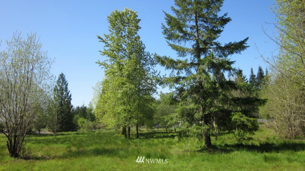 -xxx West Avery Road Winlock, WA 98596 - Photo 8 of 14