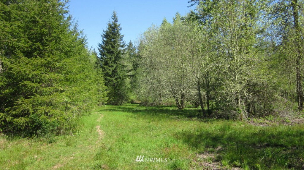-xxx West Avery Road Winlock, WA 98596 - Photo 9 of 14