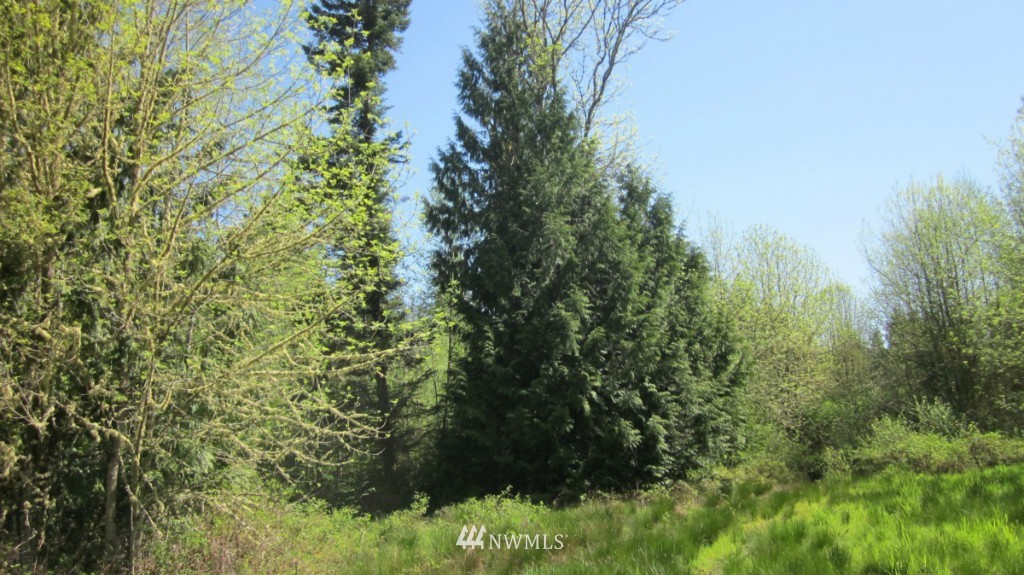 -xxx West Avery Road Winlock, WA 98596 - Photo 10 of 14