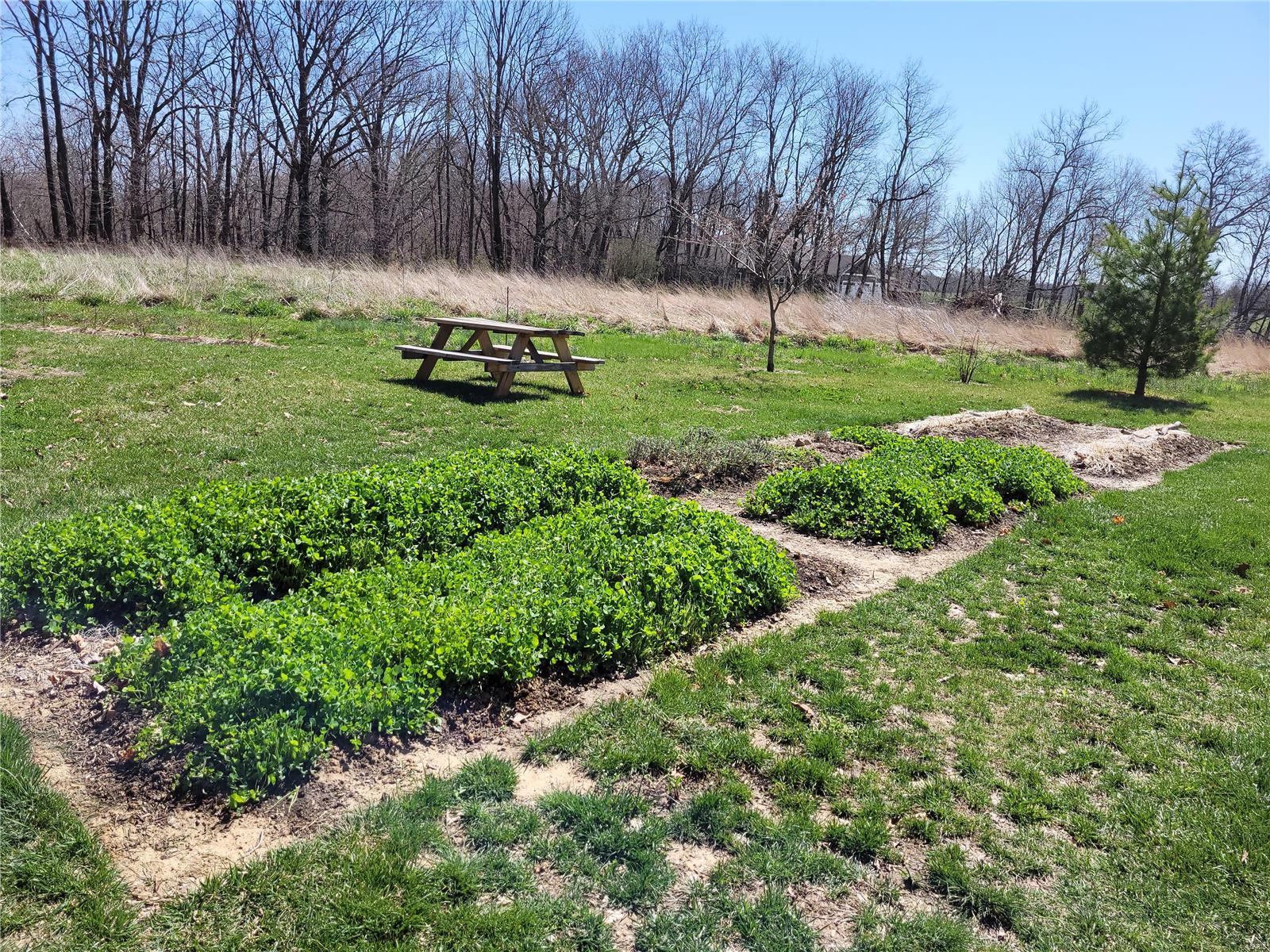 8149 Lost Bridge Road Bethalto, IL 62010 - Photo 32 of 35