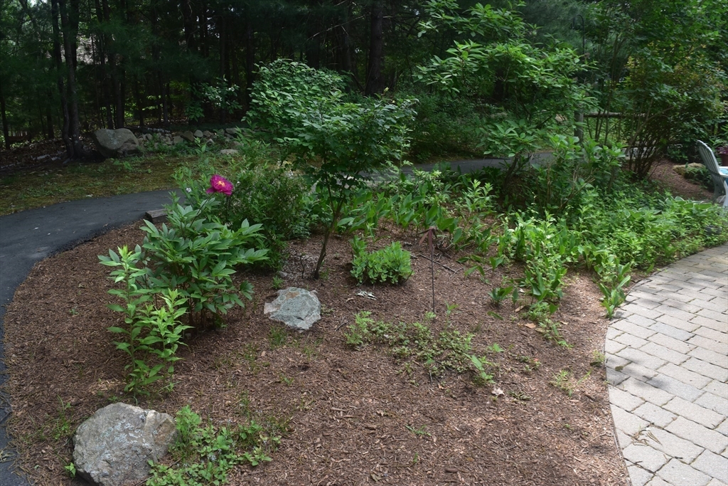 21 Trailside Way, Unit 21 Ashland, MA 01721 - Photo 5 of 38 Gallery Image 5