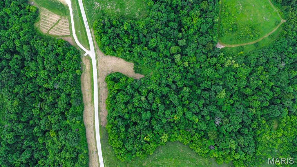 2251 Plummer Hill Road Hardin, IL 62047 - Photo 6 of 10