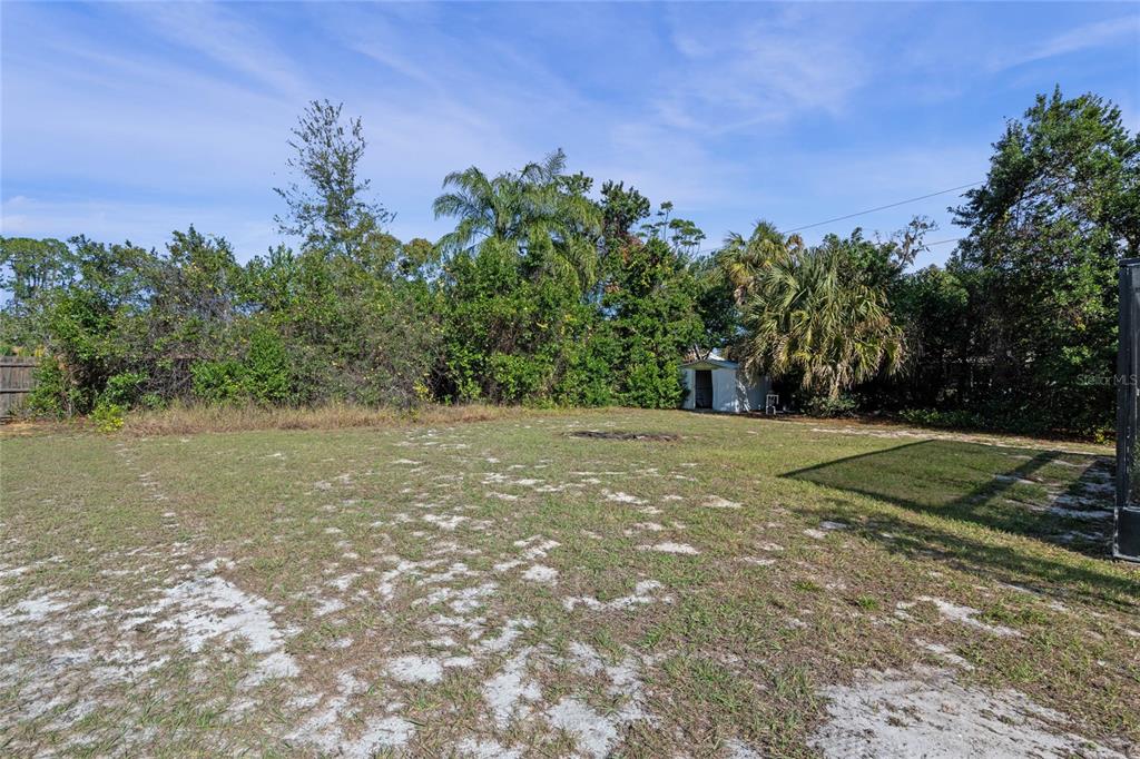 1033 Shore Acres Road Mount Dora, FL 32757 - Photo 39 of 48 Large Backyard.