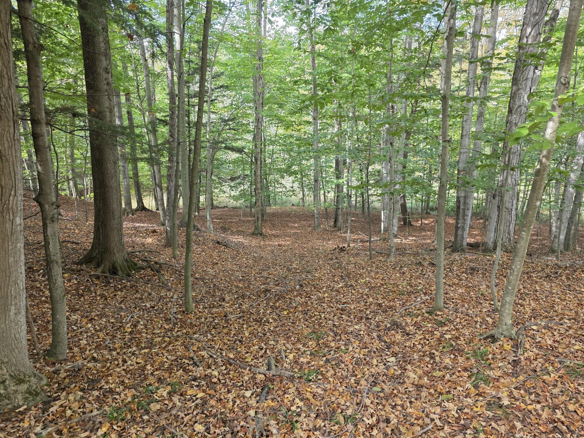 Vl Meyers Road Ludington, MI 49431 - Photo 3 of 23 3