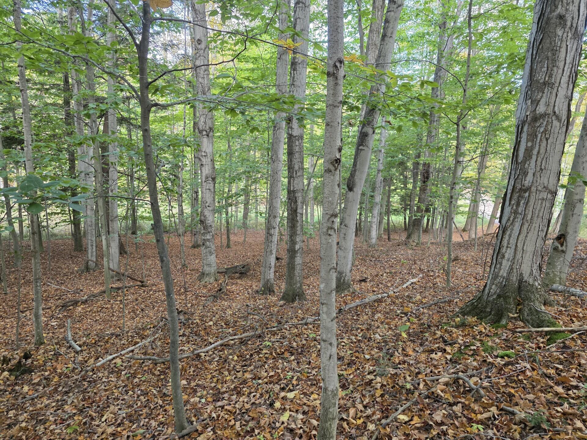 Vl Meyers Road Ludington, MI 49431 - Photo 4 of 23 4
