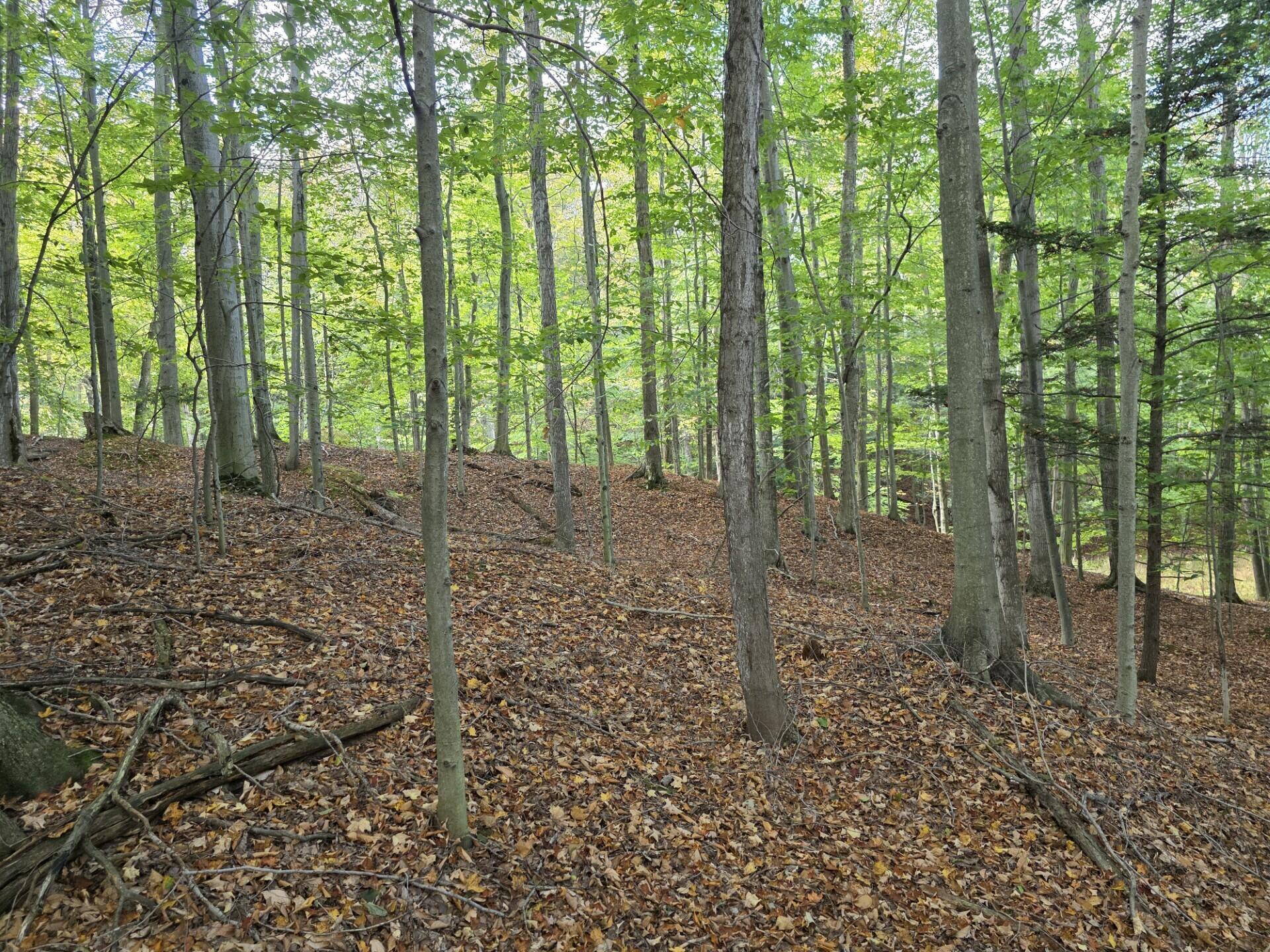 Vl Meyers Road Ludington, MI 49431 - Photo 5 of 23 5