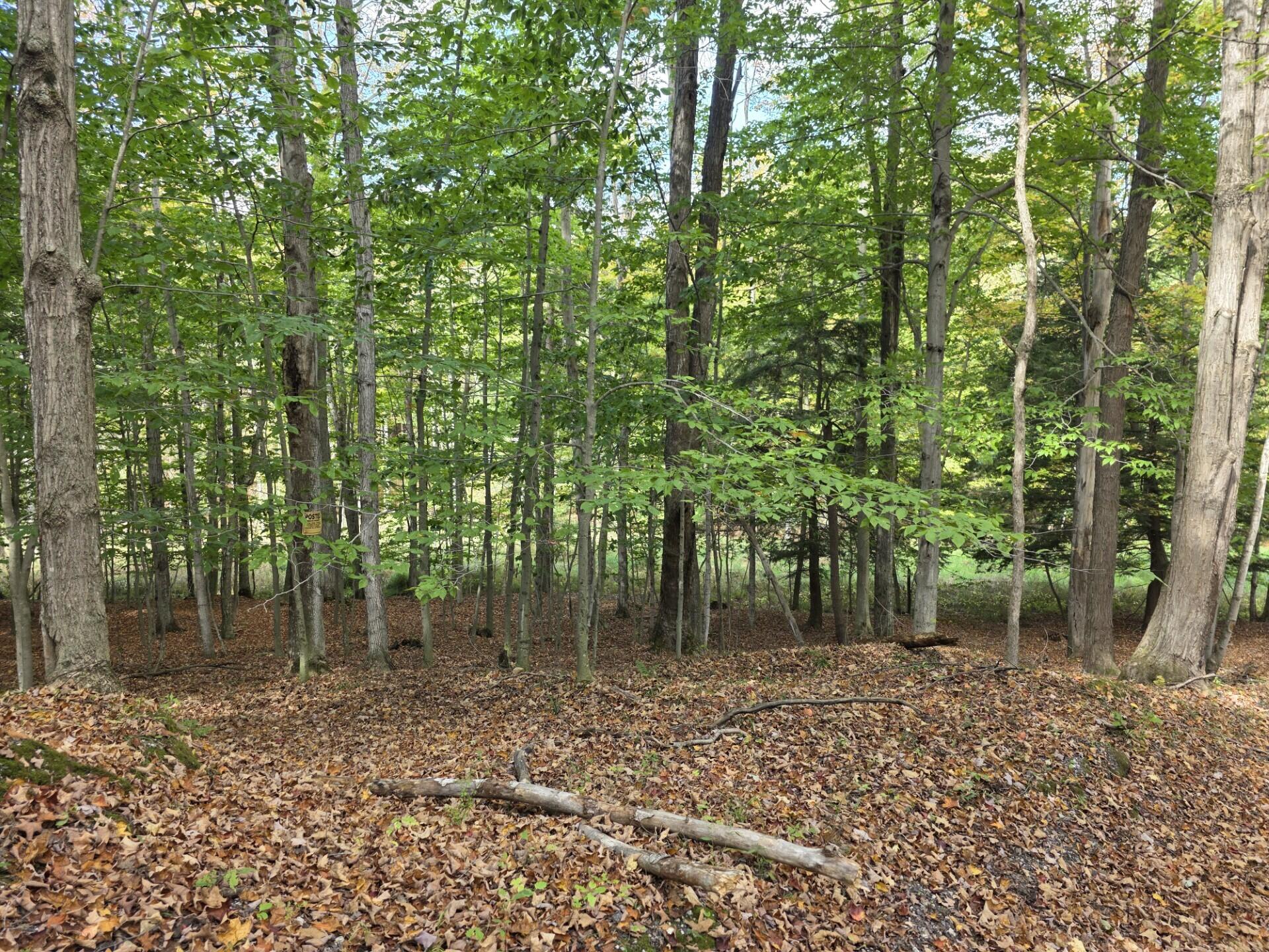 Vl Meyers Road Ludington, MI 49431 - Photo 6 of 23 6