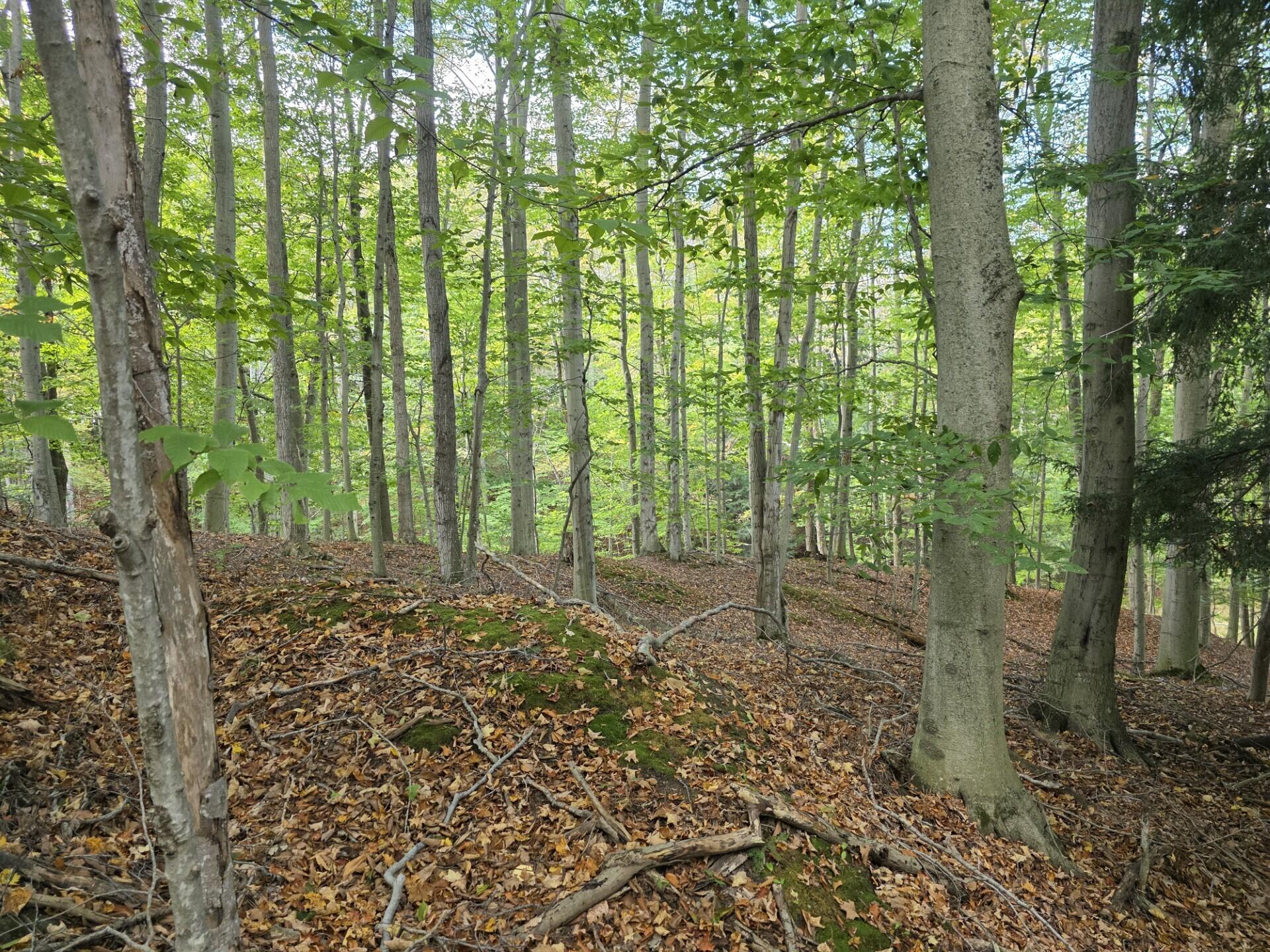 Vl Meyers Road Ludington, MI 49431 - Photo 7 of 23 7