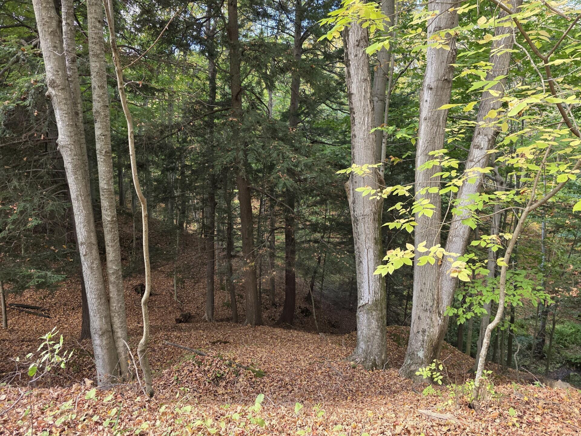 Vl Meyers Road Ludington, MI 49431 - Photo 8 of 23 8