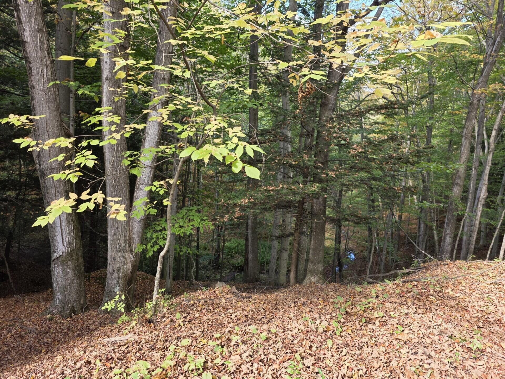 Vl Meyers Road Ludington, MI 49431 - Photo 10 of 23 10