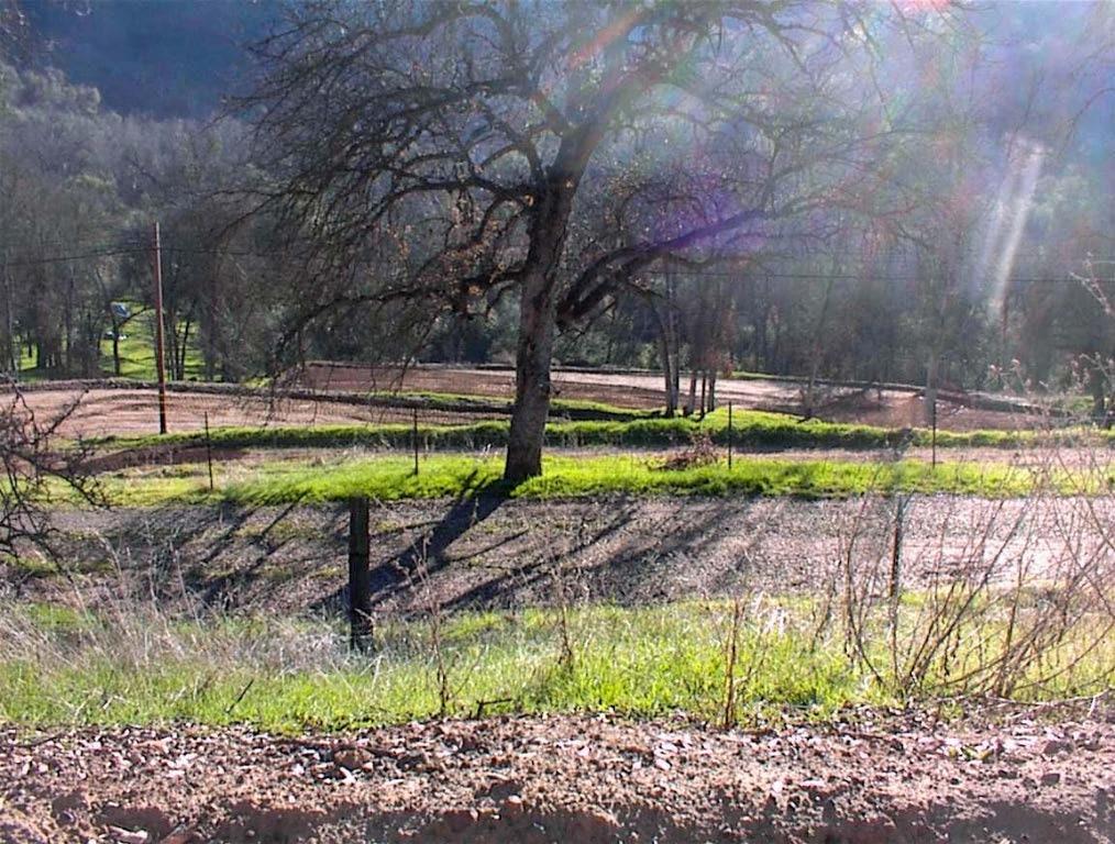 2 Hopewell Road Squaw Valley, CA 93675 - Photo 1 of 20 Gallery Image 1