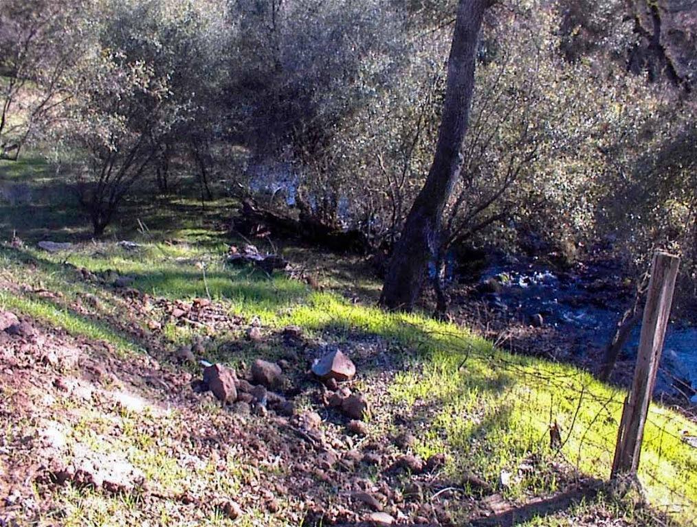 2 Hopewell Road Squaw Valley, CA 93675 - Photo 13 of 20 Gallery Image 13