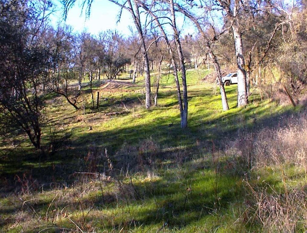 2 Hopewell Road Squaw Valley, CA 93675 - Photo 19 of 20 Gallery Image 19
