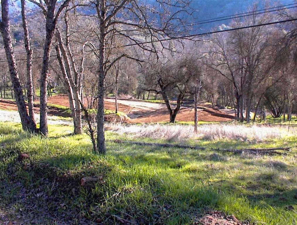 2 Hopewell Road Squaw Valley, CA 93675 - Photo 3 of 20 Gallery Image 3
