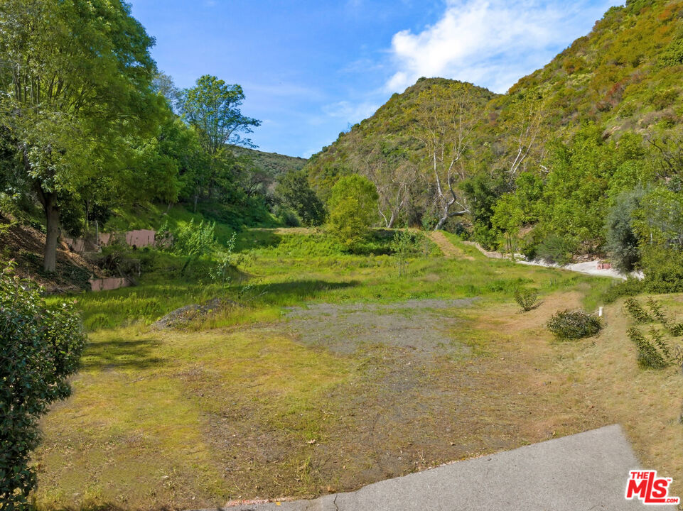3375 Mandeville Canyon Road Los Angeles, CA 90049 - Photo 5 of 13 a view of a yard