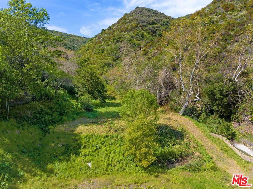 3375 Mandeville Canyon Road Los Angeles, CA 90049 - Photo 6 of 13 a view of a forest