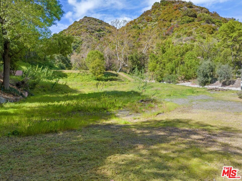 3375 Mandeville Canyon Road Los Angeles, CA 90049 - Photo 7 of 13 a view of a big yard with plants and large trees