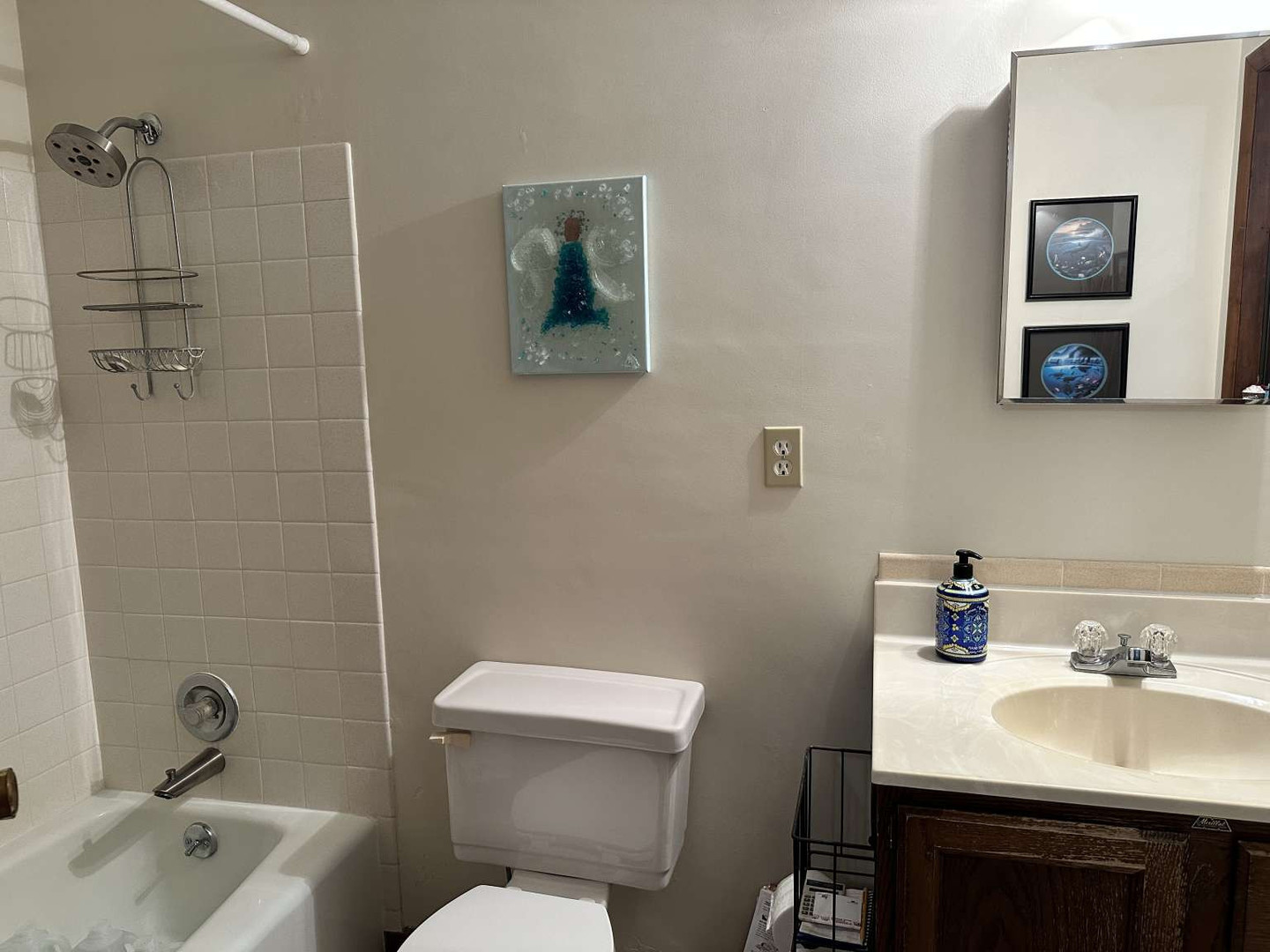 11 Marty Lane Macomb, IL 61455 - Photo 22 of 25 a bathroom with a sink a toilet and shower