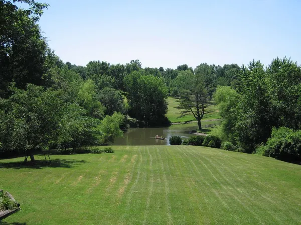 a view of a park